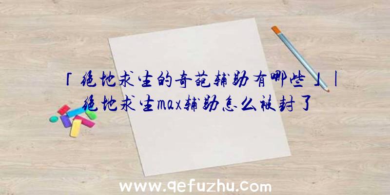 「绝地求生的奇葩辅助有哪些」|绝地求生max辅助怎么被封了